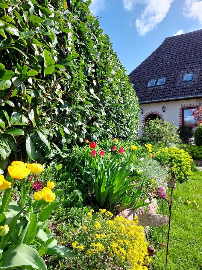 Klosterblick Bad Doberan Exterior foto